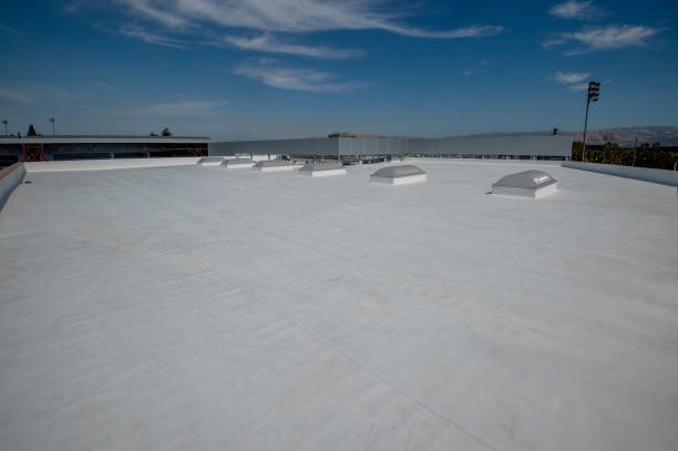 Best Green or Eco-Friendly Roofing Solutions  in Greenville, DE