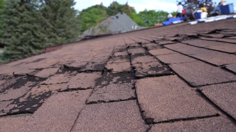  Greenville, DE Roofing Service Pros