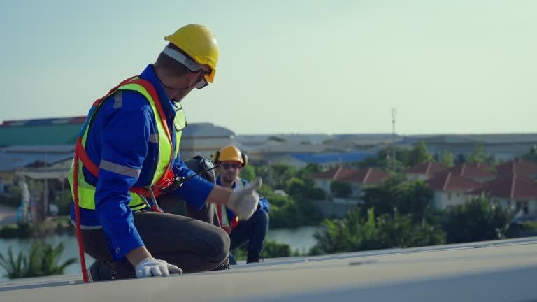 Best Sheet Metal Roofing  in Greenville, DE