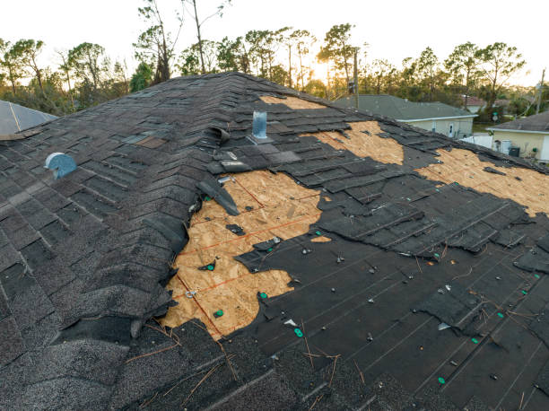 Roof Coating Services in Greenville, DE